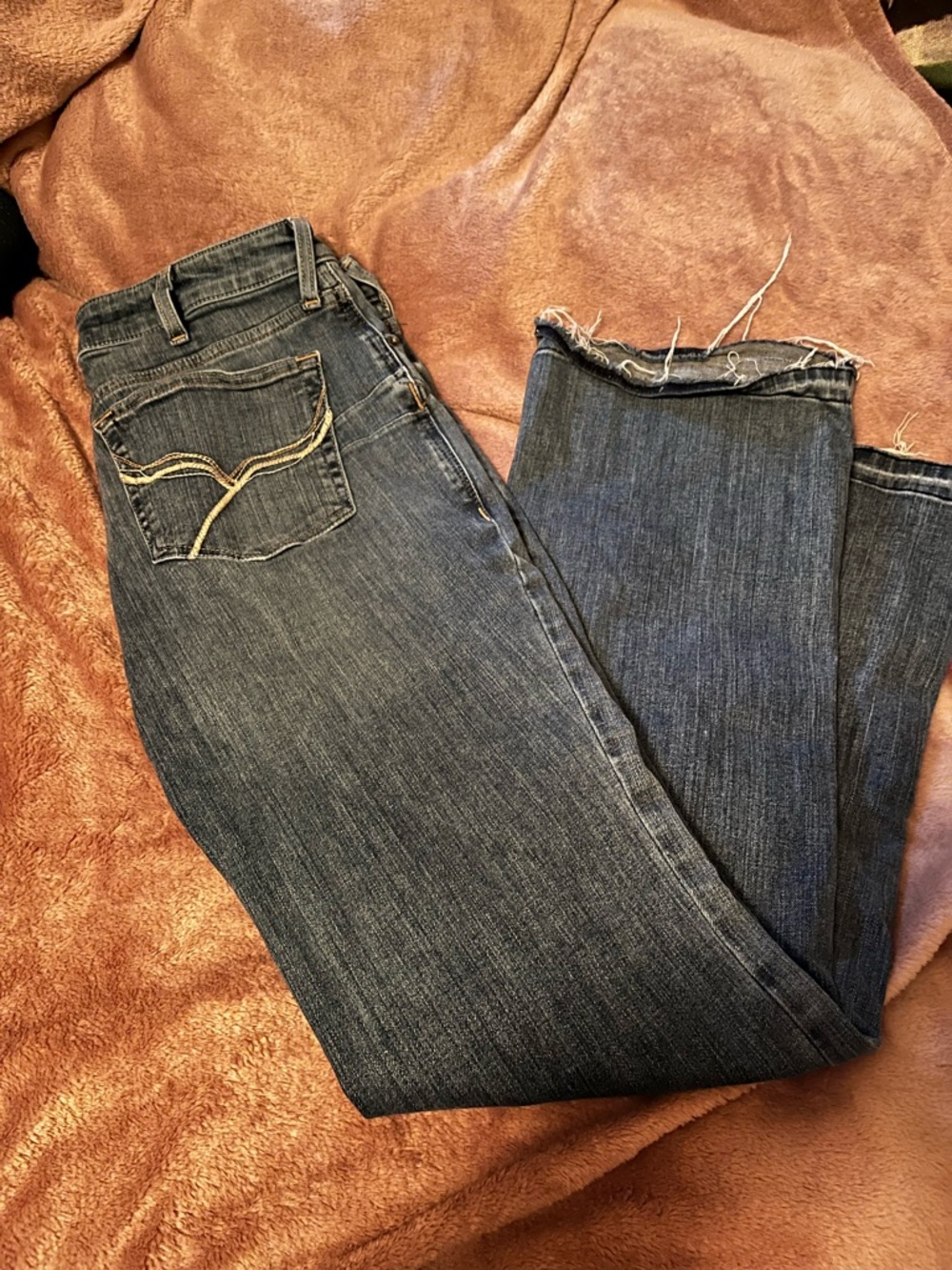 Ariat bootcut jeans